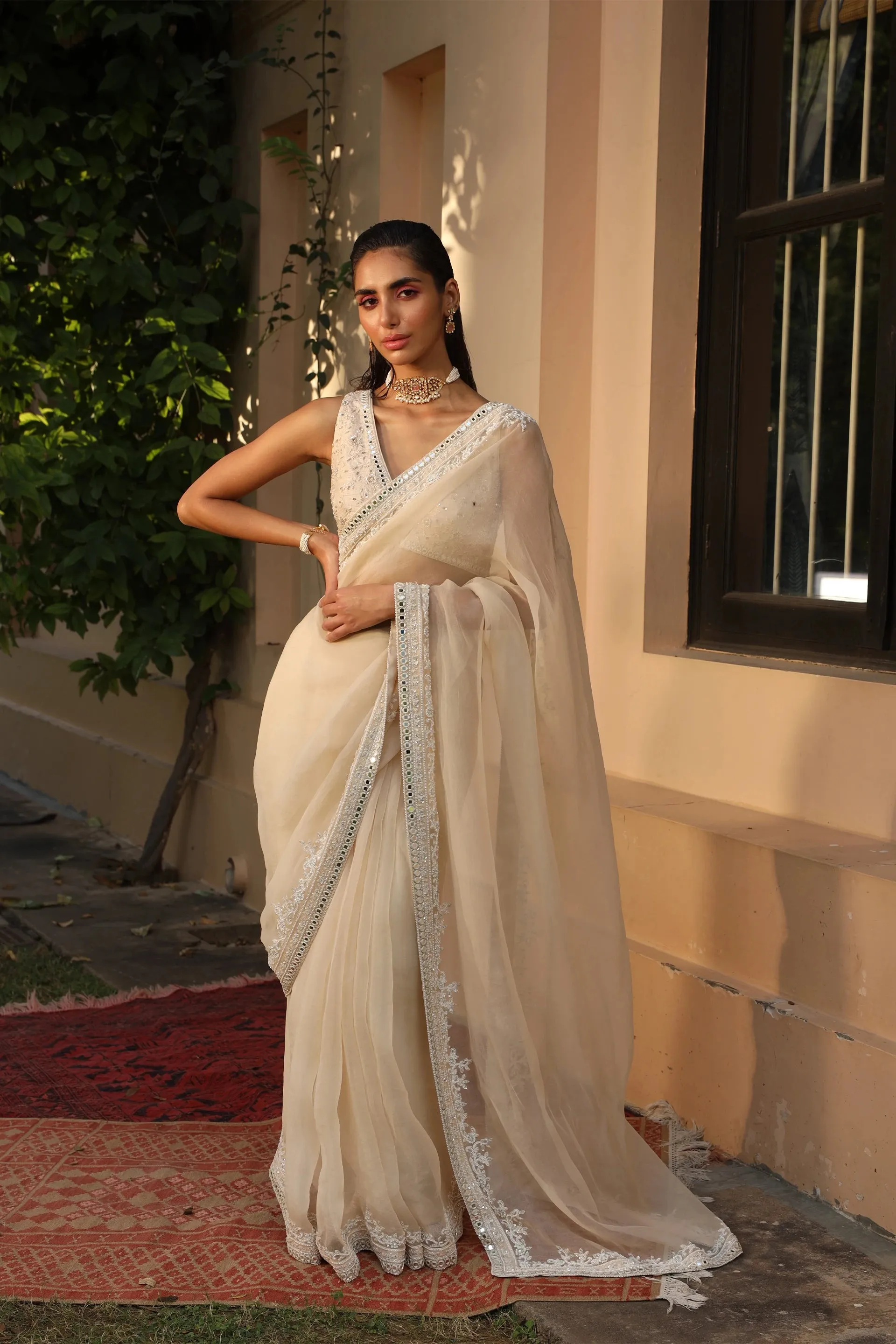 Organza Saree with Embroidery Blouse