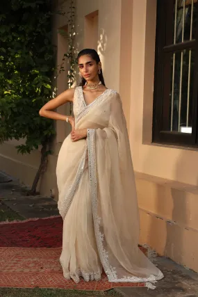 Organza Saree with Embroidery Blouse